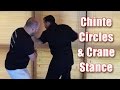 Practical Kata Bunkai Chinte Circles Crane Stance