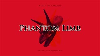 Phantom Limb [Cover]