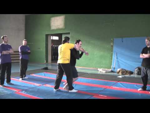 Codex Wallerstein Ringen 39v ("seoi nage")