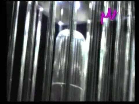 Mad ZapoffGallery Moet & Chandon 24.04.2009