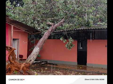 Guaviare: vendaval causa graves daños en institución educativa y viviendas en Miraflores