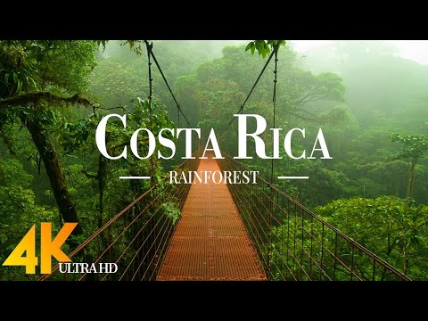 Costa Rica Rainforest 4K Ultra HD • Stunning Footage, Scenic Relaxation Film with Calming Music