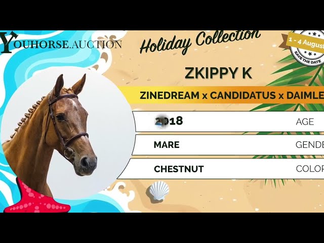 Zkippy showvideo indoor