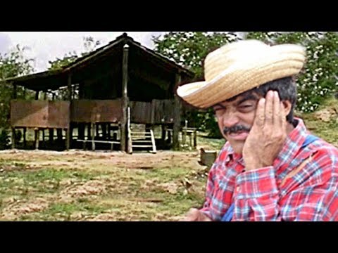 IMBILINO 2: A LUA E O DENTE - TRAILER