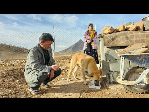 Emergency trip to get medicine: Will our puppy survive a minor infection? -Fatima and Ayoub 