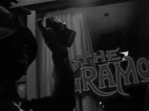 D WIN Gramophone DVD interview