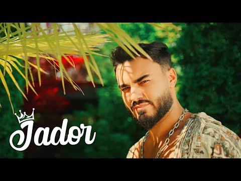 Video thumbnail for Aseară dansai singură