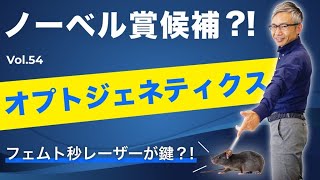 未来医療「オプトジェネティクス」にフェムト秒レーザーが活躍する?!│Vol.54