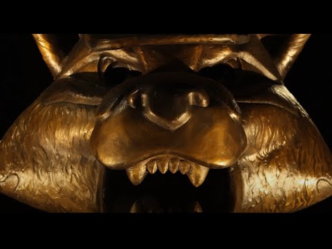 Breaking News | SBU-TV Intern Film (Spring 2025)