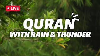Download lagu Quran with rain & Thunder sounds!! | Peace | Amazing | Listen | Surah Yunus | Sheikh Moaaz Yasir mp3