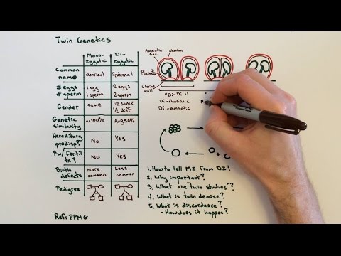 Twin Genetics and Types of Twins