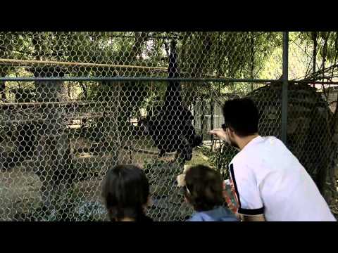 GIANLUCA L'UNICA EMOZIONE  OFFICIAL VIDEO 2015