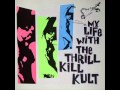 My Life with the Thrill Kill Kult - Somebody New ...