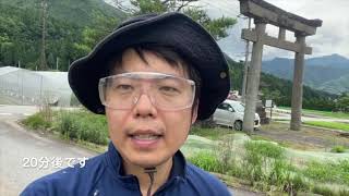 草が消えた！？絶望していた田んぼの草刈、一夜明けたら草刈りがされていました。なぜ？？　2021年7月4日　飛騨市をスローシティ へ　〜第1章 自宅をアグリツーリズム拠点にしたい〜