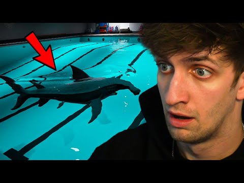 DON'T WATCH IF YOU'RE AFRAID OF SHARKS | Sharks and Minnows