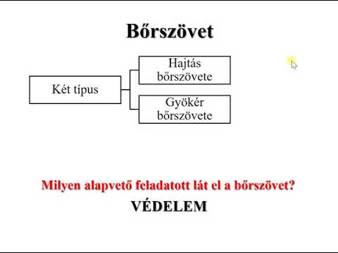 Genitális szemölcsök és gége papillomatosis