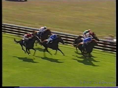 1995 Juddmonte International Stakes Halling Inc Replay