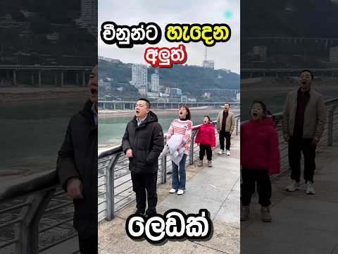 චීන්නුන්ගේ කට ඇරෙන අමුතු ලෙඩක් මෙන්න 🚂|Trend of eating trains in China🚂 #facts#sinhala