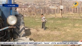 Անասնակերի թանկացման պատճառով գյուղացիները ստիպված են ազատվել անասուններից
