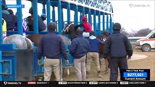 Aqueduct race 1