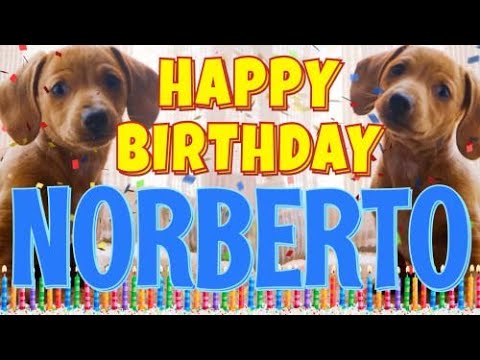 Happy Birthday Norberto! ( Funny Talking Dogs ) What Is Free On My Birthday