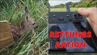 Kitz Rettung 2.0 mit der Drohne als Jäger - Jagdkrone
