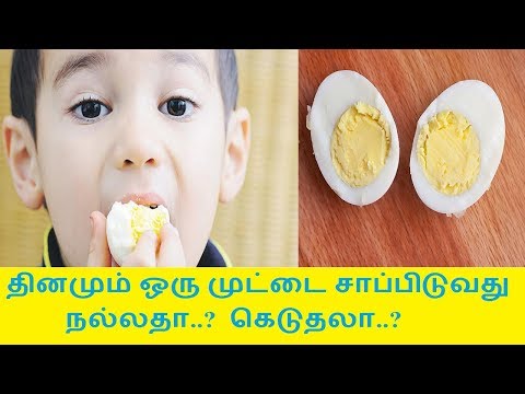 தினமும் ஒரு முட்டை சாப்பிடுவது நல்லதா..? கெட்டதா..? பார்க்கலாம்..!