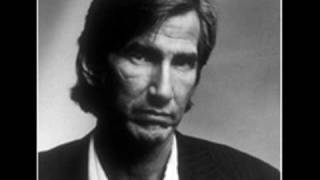 townes van zandt lungs