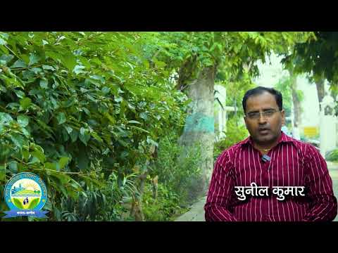 Development In City By Nagar Palika | KTive Agency