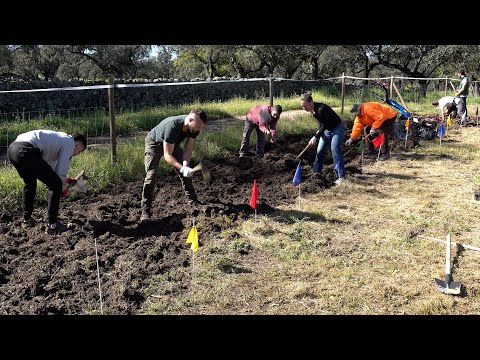 PLANTING 28.000 saplings has started; TELEVISION CREW is here too