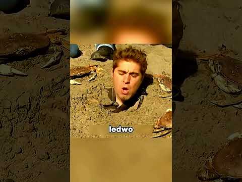 Czy da się uciec będąc zakopanym w piasku?