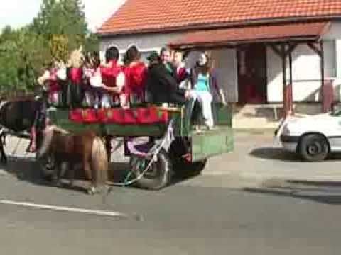 Iváncsai szüreti felv 2013