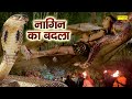 नागिन का बदला Nagin Ka Badla Kunal Singh Rajput Raveena Bishnoi Superhit Film 