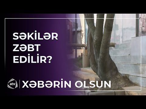 Səkilər niyə zəbt olunur?