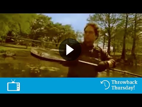 Schoonmaker en krokodil - Zeker Delta Lloyd reclame