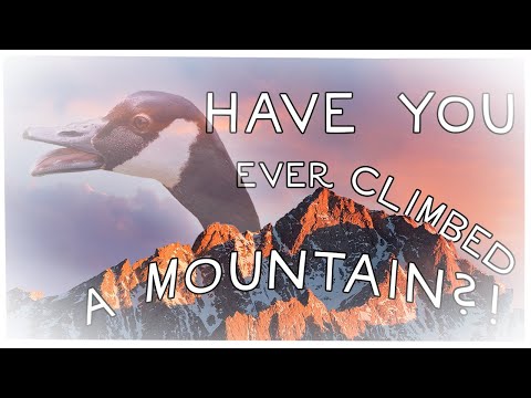 have you ever climbed a mountain...