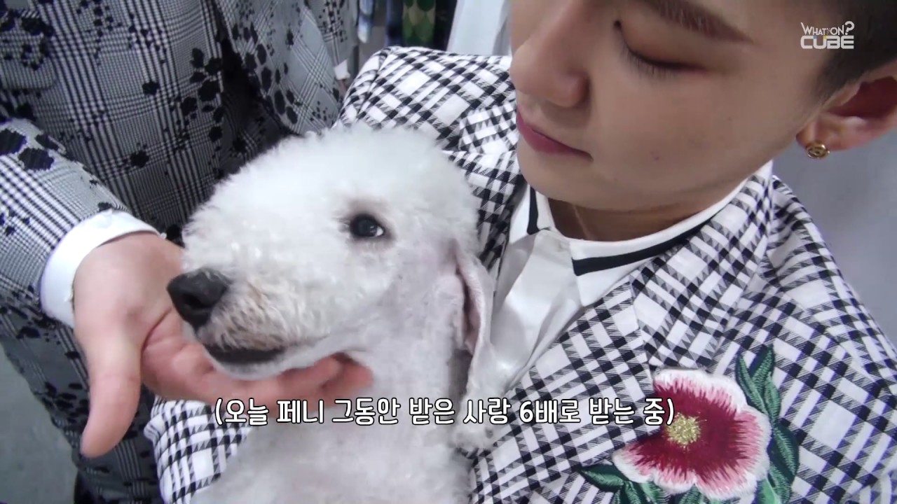 비트콤 #18 (2017 드림콘서트 비하인드 )