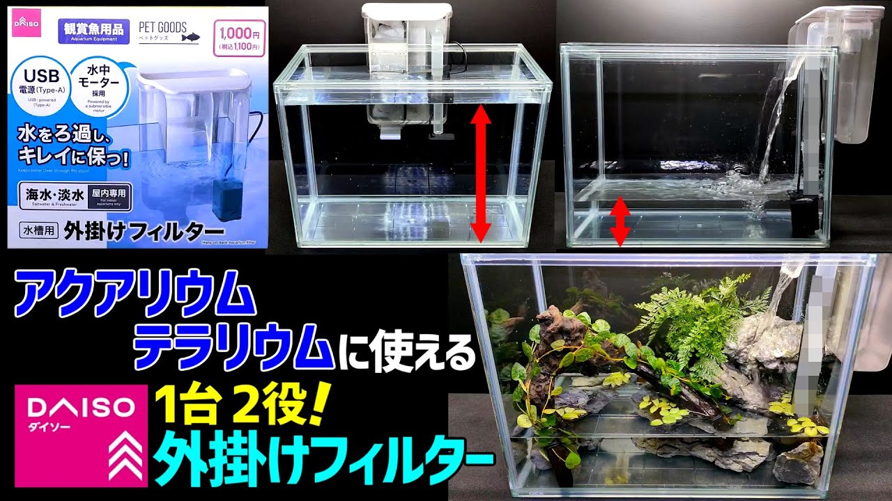 話題の【DAISO外掛けフィルター】が想像以上に使えた！/アクアリウム・アクアテラリウム両対応！1台2役！