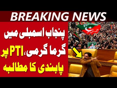 پنجاب اسمبلی میں گرما گرمی، پی ٹی آئی پر پابندی کا مطالبہ