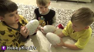 Hatchimals HUGE Surprise Eggs! Dragon Bird Toys + Teach Them to Dance Play HobbyKidsTV