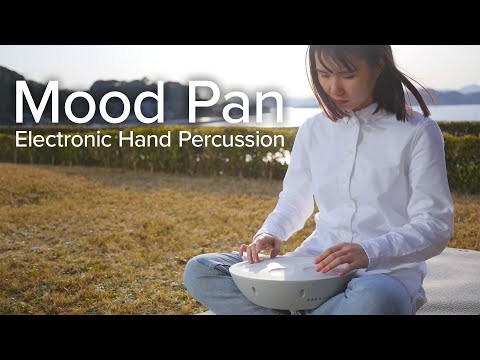 Roland Mood Pan (MN-10) - Gearspace