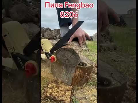 фото пила цепная fengbao 8206 0