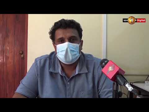 Lion at the Dehiwala Zoo contracts COVID?