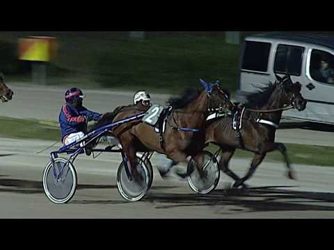 Aversa trotto 22 Gennaio 2020 - 5° Corsa