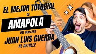 Aprende a tocar &quot;Amapola&quot; de Juan Luis Guerra con nuestro TUTORIAL COMPLETO Y DETALLADO