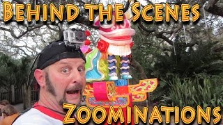 preview picture of video 'Behind the Scenes Zoominations Lowry Park Zoo'