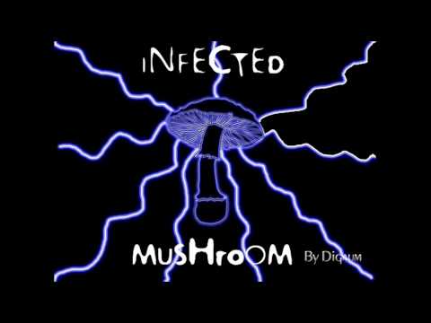 Infected Mushroom - I Wish (Skazi Remix) (Targy edit)