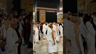 Download lagu #babifreitas mp3