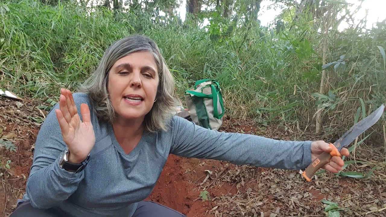 Latossolo Vermelho distroférrico