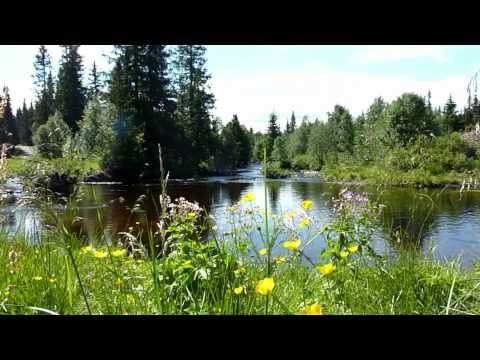 Schweden Sverige Dalarna